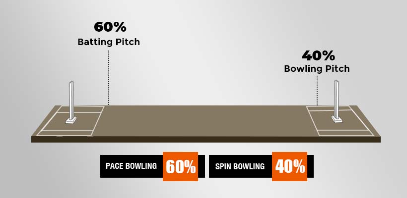 cricket pitch report