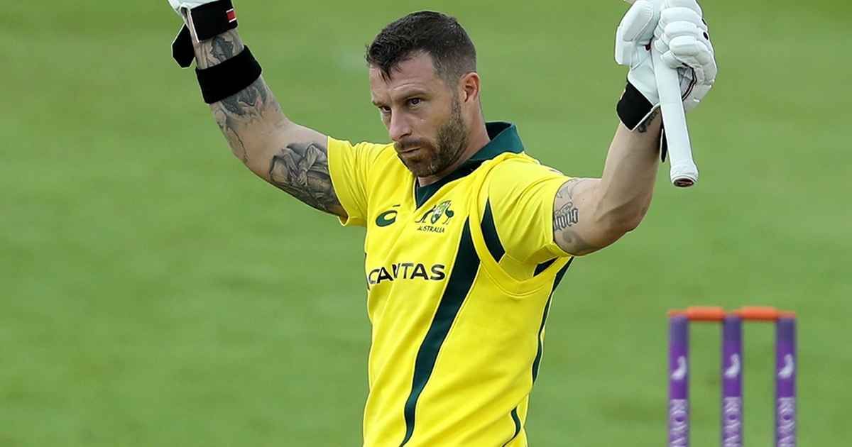 mathew wade sportstiger