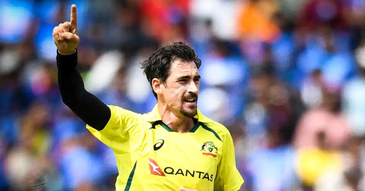 starc sportstiger